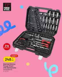 Castorama gazetka Strona 17