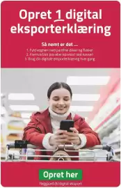 Fleggaard avis Side 13