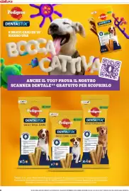 Volantino Bennet | Extra Pagina 6