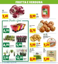 Volantino DPiù Pagina 11