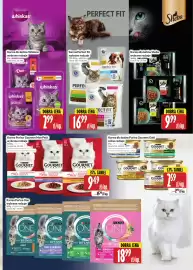 Hala Wola gazetka Strona 17