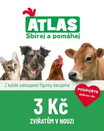 Wiky leták Strana 1