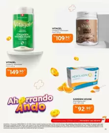 Catálogo Mifarma Página 31