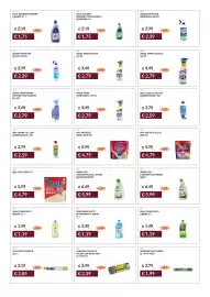 Volantino Prezzemolo e Vitale Pagina 33