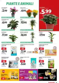 Volantino Bennet Pagina 25