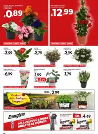 Volantino Bennet Pagina 26