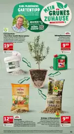 Interspar Flugblatt Seite 11