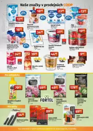 COOP TIP leták Strana 9