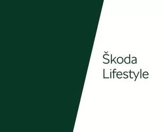 Škoda leták | Kodiaq Strana 79