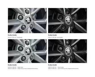 Škoda leták | Octavia Strana 101