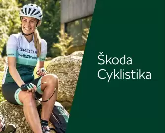 Škoda leták | Octavia Strana 115