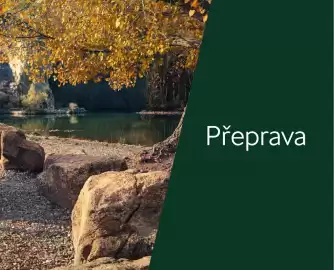 Škoda leták | Scala Strana 55