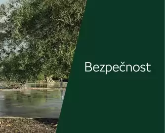 Škoda leták | Kamiq Strana 29