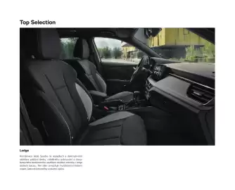 Škoda leták | Kamiq Strana 49