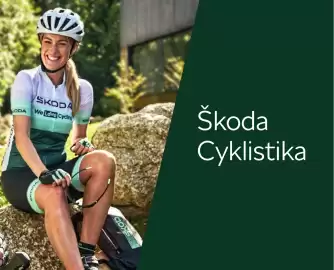 Škoda leták | Kamiq Strana 101