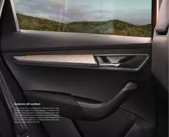 Škoda leták | Karoq Strana 12