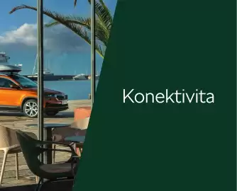 Škoda leták | Karoq Strana 11