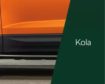 Škoda leták | Karoq Strana 59