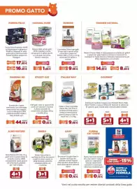 Volantino Joe Zampetti Pagina 10