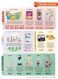 Volantino Joe Zampetti Pagina 11