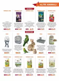 Volantino Joe Zampetti Pagina 13