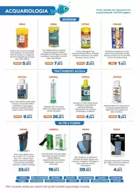 Volantino Joe Zampetti Pagina 14