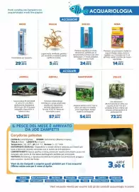 Volantino Joe Zampetti Pagina 15