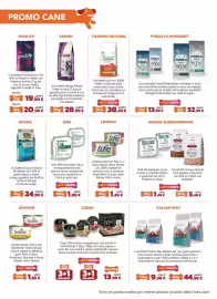 Volantino Joe Zampetti Pagina 2