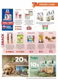 Volantino Joe Zampetti Pagina 3