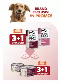 Volantino Joe Zampetti Pagina 6