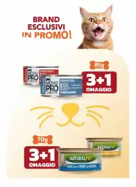 Volantino Joe Zampetti Pagina 8