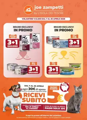 Joe Zampetti (valido fino al 26-04)