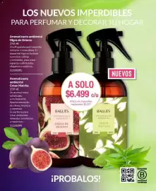 Catálogo Bagués Página 100