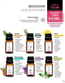 Catálogo Bagués Página 43