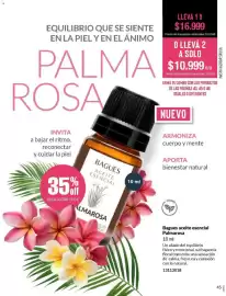 Catálogo Bagués Página 45