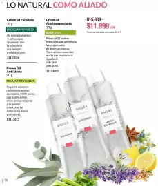 Catálogo Bagués Página 50