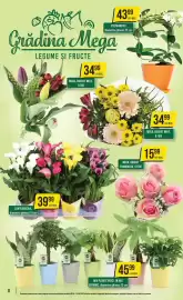 Catalog Mega Image săptămâna 15 Pagină 8