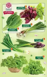 Catalog Mega Image săptămâna 15 Pagină 9