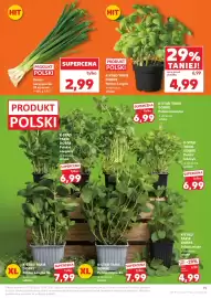 Kaufland gazetka tydzień 15 Strona 19