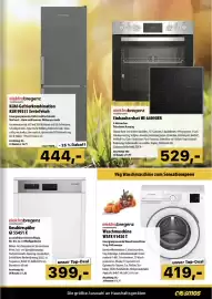 Cosmos Flugblatt Seite 15