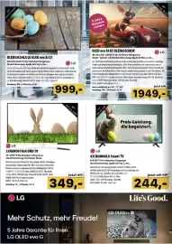 Cosmos Flugblatt Seite 8