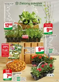 Dino gazetka tydzień 15 Strona 53