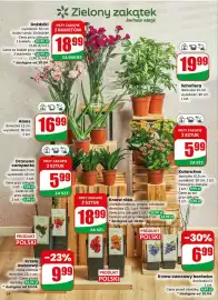 Dino gazetka tydzień 15 Strona 54