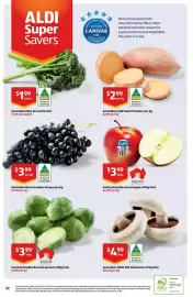 ALDI catalogue | Special Buys Page 22