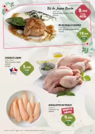 Catalogue Gel 2000 page 9