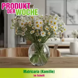 Blumen B&B Flugblatt Seite 1