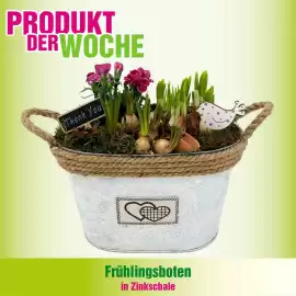 Blumen B&B Flugblatt Seite 7