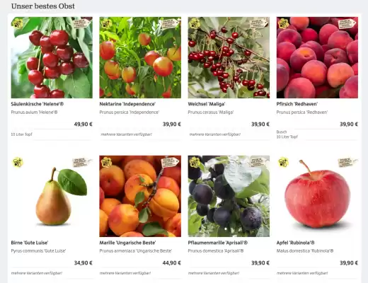 Starkl (gültig bis 20-04)