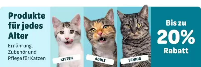 Zooplus Flugblatt woche 15 Seite 5