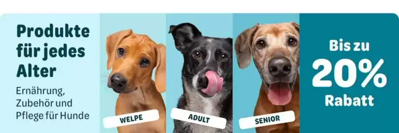 Zooplus Flugblatt woche 15 Seite 6